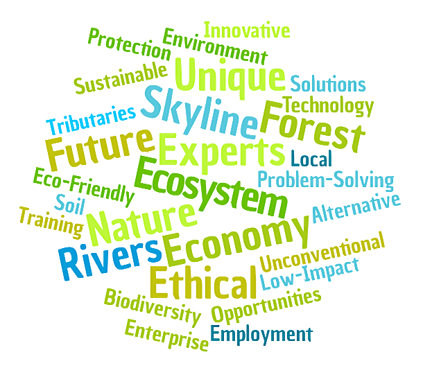 wordcloud (4)
